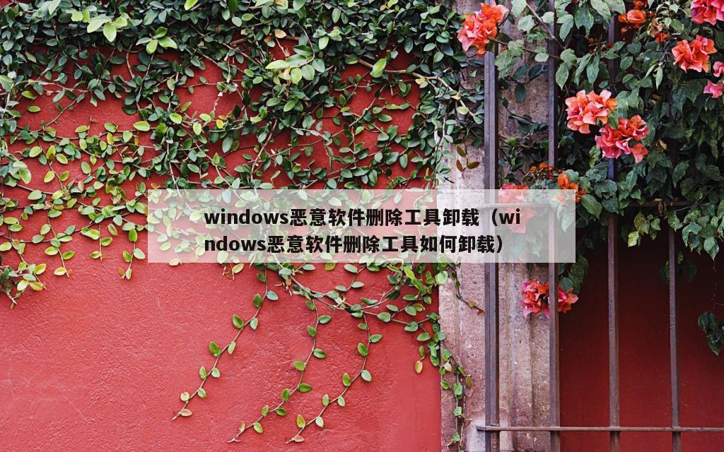 windows恶意软件删除工具卸载（windows恶意软件删除工具如何卸载）