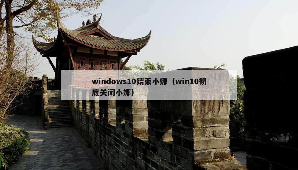 windows10结束小娜（win10彻底关闭小娜）