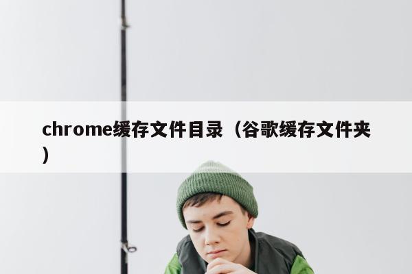 chrome缓存文件目录（谷歌缓存文件夹）