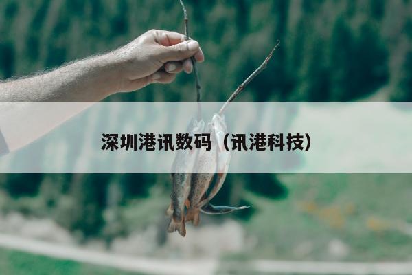 深圳港讯数码（讯港科技）