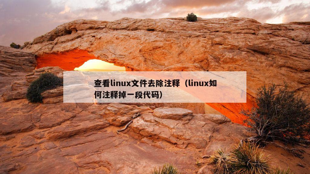 查看linux文件去除注释（linux如何注释掉一段代码）