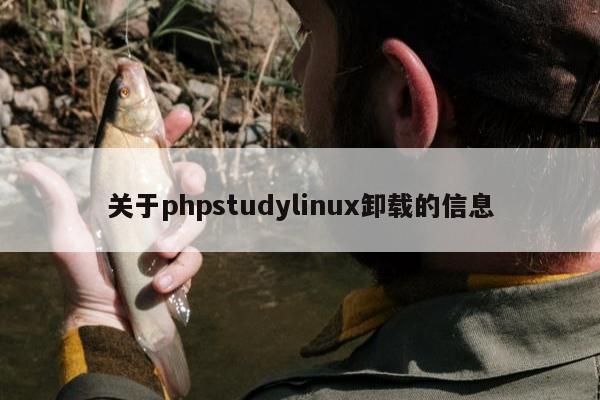 关于phpstudylinux卸载的信息