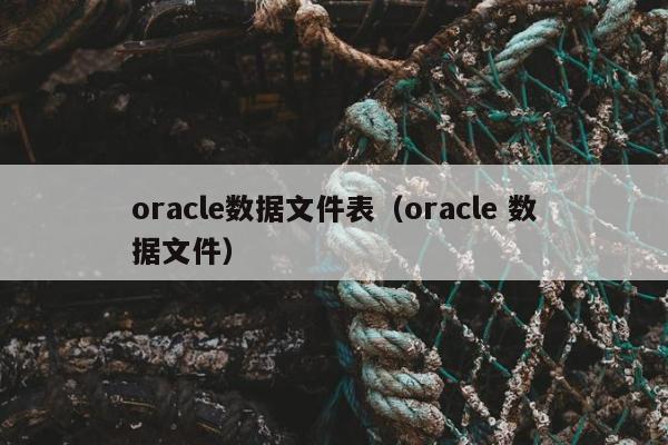 oracle数据文件表（oracle 数据文件）