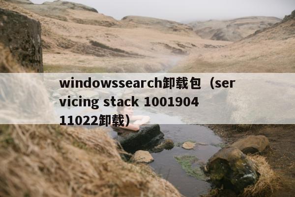 windowssearch卸载包（servicing stack 100190411022卸载）