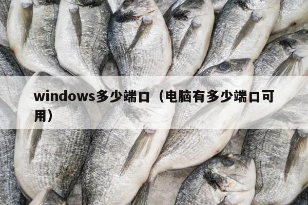 windows多少端口（电脑有多少端口可用）