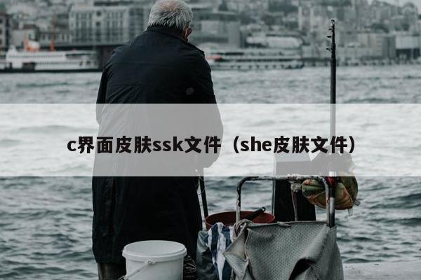 c界面皮肤ssk文件（she皮肤文件）