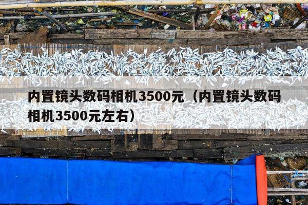 内置镜头数码相机3500元（内置镜头数码相机3500元左右）