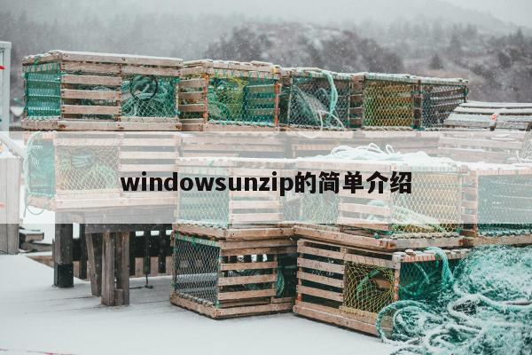 windowsunzip的简单介绍