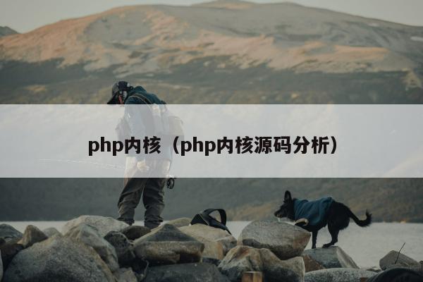 php内核（php内核源码分析）