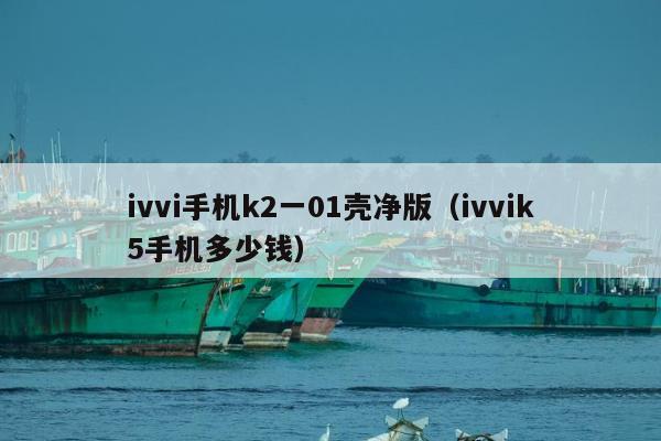 ivvi手机k2一01壳净版（ivvik5手机多少钱）