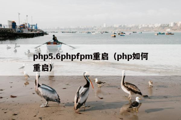 php5.6phpfpm重启（php如何重启）