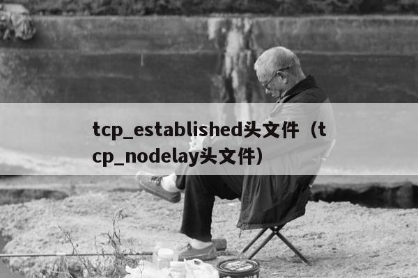 tcp_established头文件（tcp_nodelay头文件）