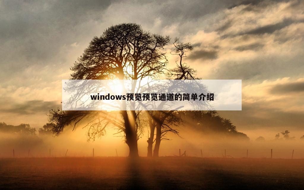 windows预览预览通道的简单介绍