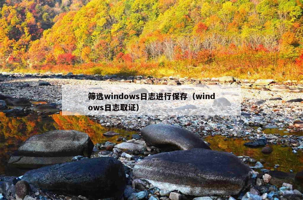 筛选windows日志进行保存（windows日志取证）