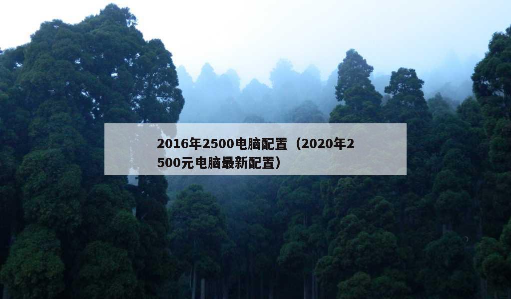 2016年2500电脑配置（2020年2500元电脑最新配置）