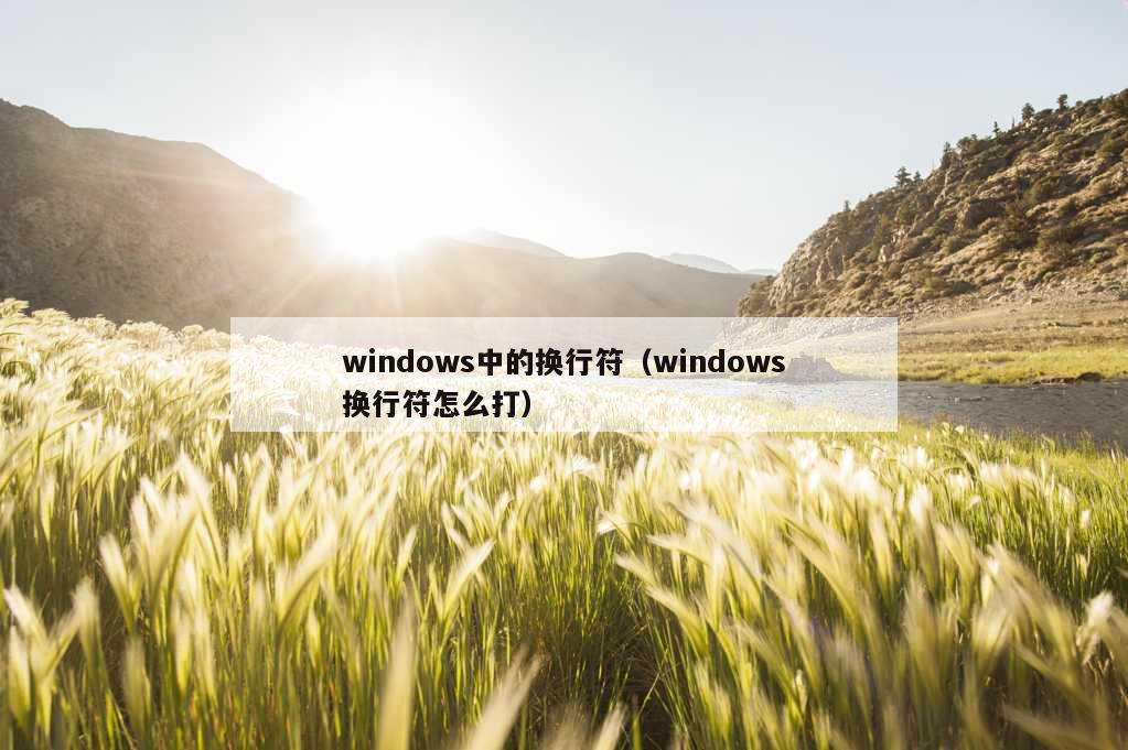 windows中的换行符（windows换行符怎么打）