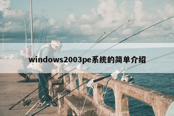 windows2003pe系统的简单介绍