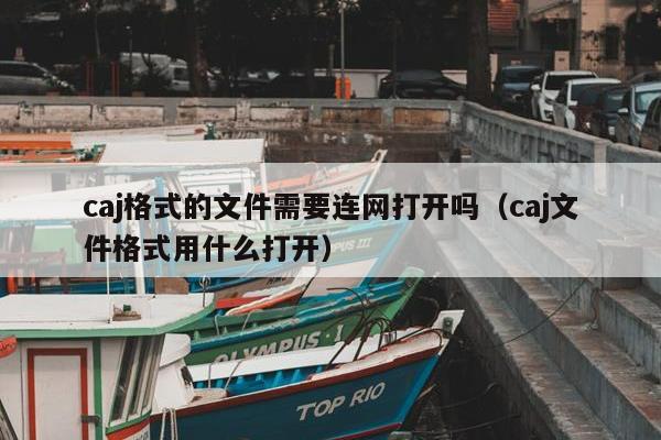 caj格式的文件需要连网打开吗（caj文件格式用什么打开）