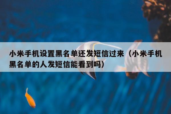 小米手机设置黑名单还发短信过来（小米手机黑名单的人发短信能看到吗）