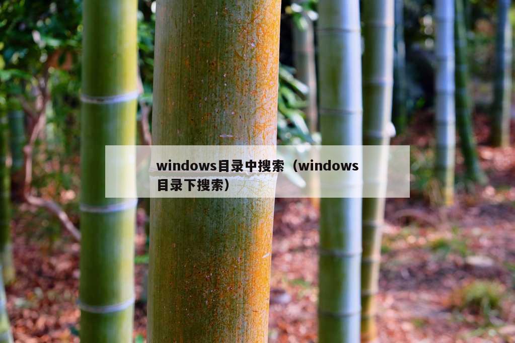 windows目录中搜索（windows目录下搜索）