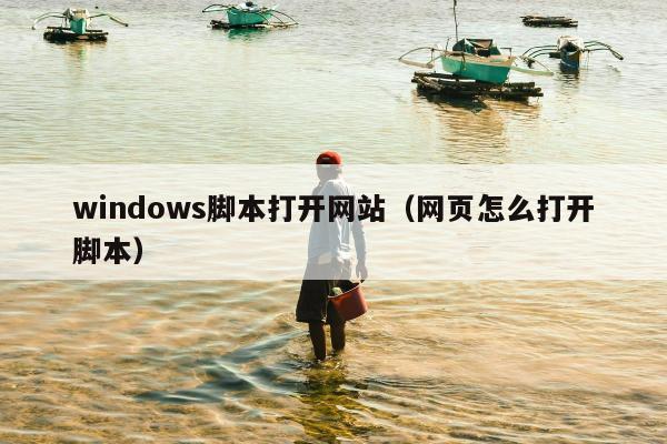 windows脚本打开网站（网页怎么打开脚本）