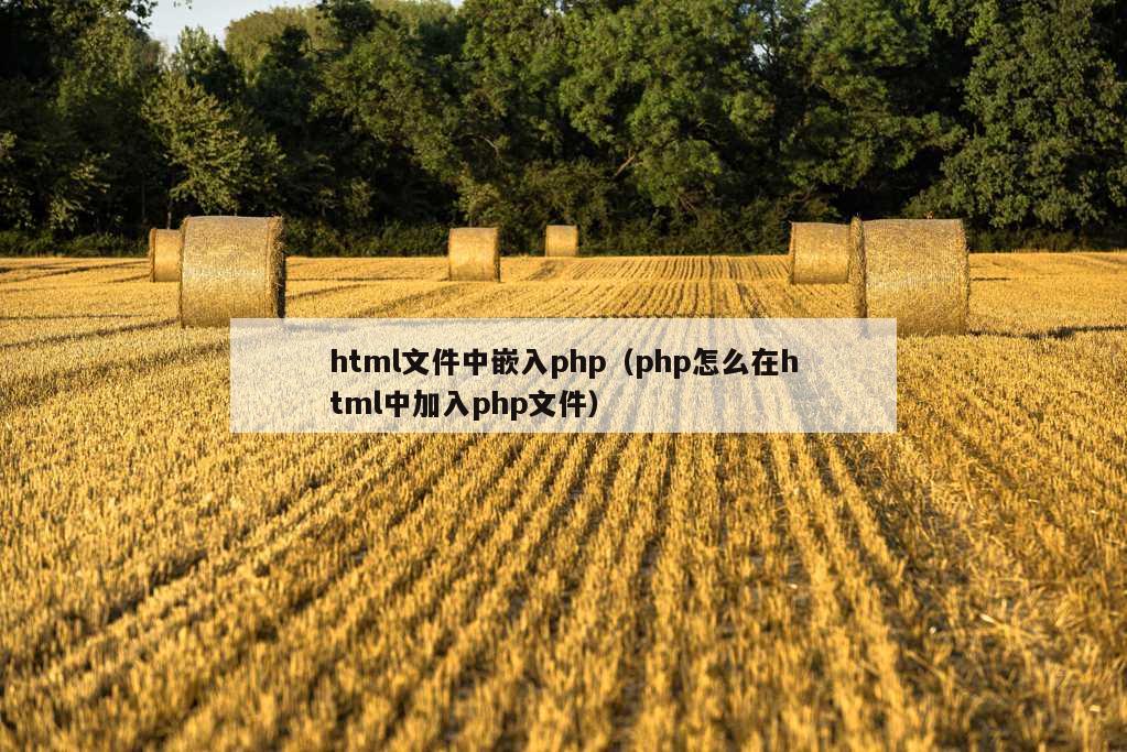 html文件中嵌入php（php怎么在html中加入php文件）