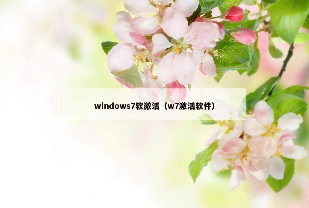 windows7软激活（w7激活软件）