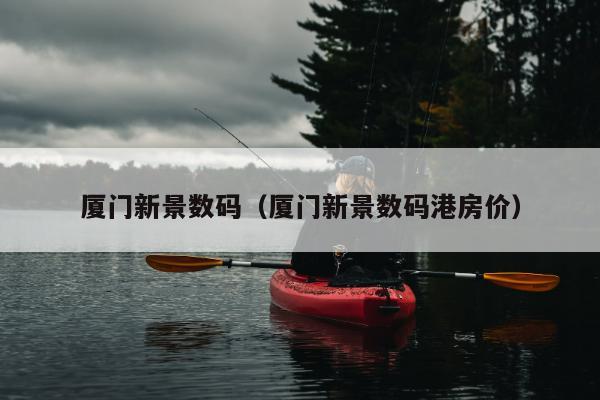 厦门新景数码（厦门新景数码港房价）