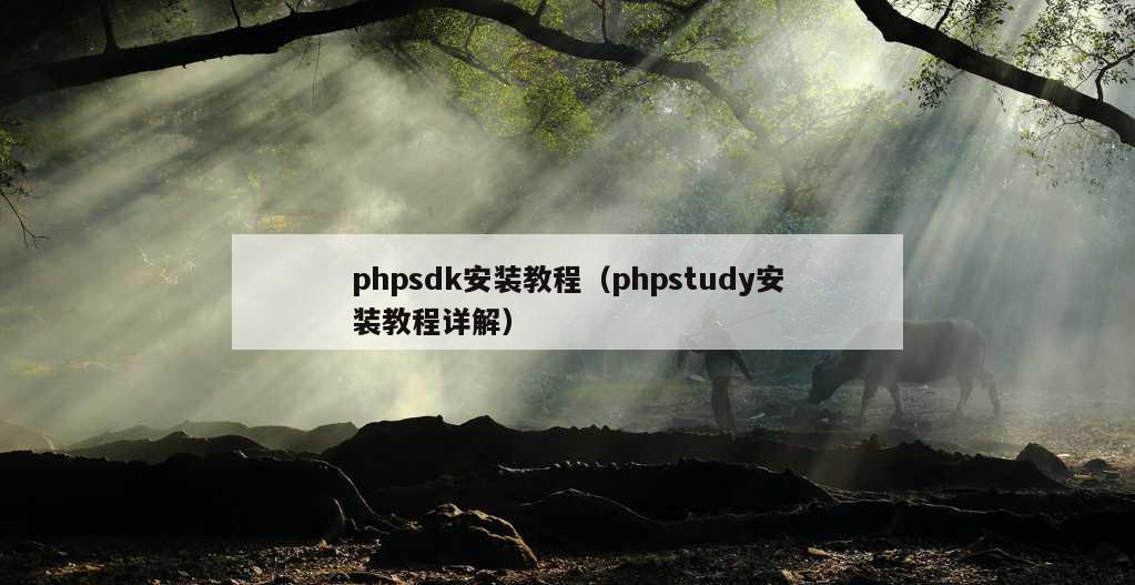 phpsdk安装教程（phpstudy安装教程详解）