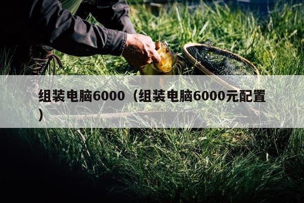 组装电脑6000（组装电脑6000元配置）