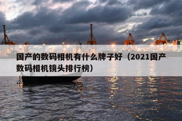 国产的数码相机有什么牌子好（2021国产数码相机镜头排行榜）