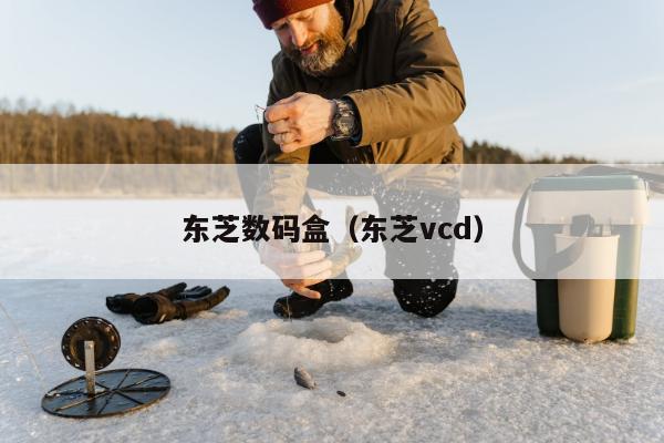 东芝数码盒（东芝vcd）