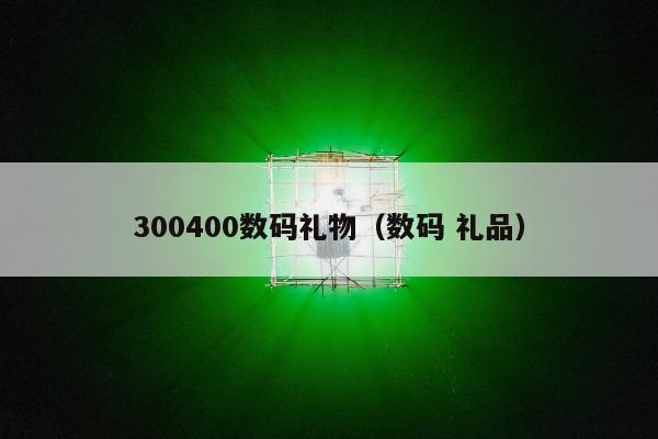 300400数码礼物（数码 礼品）