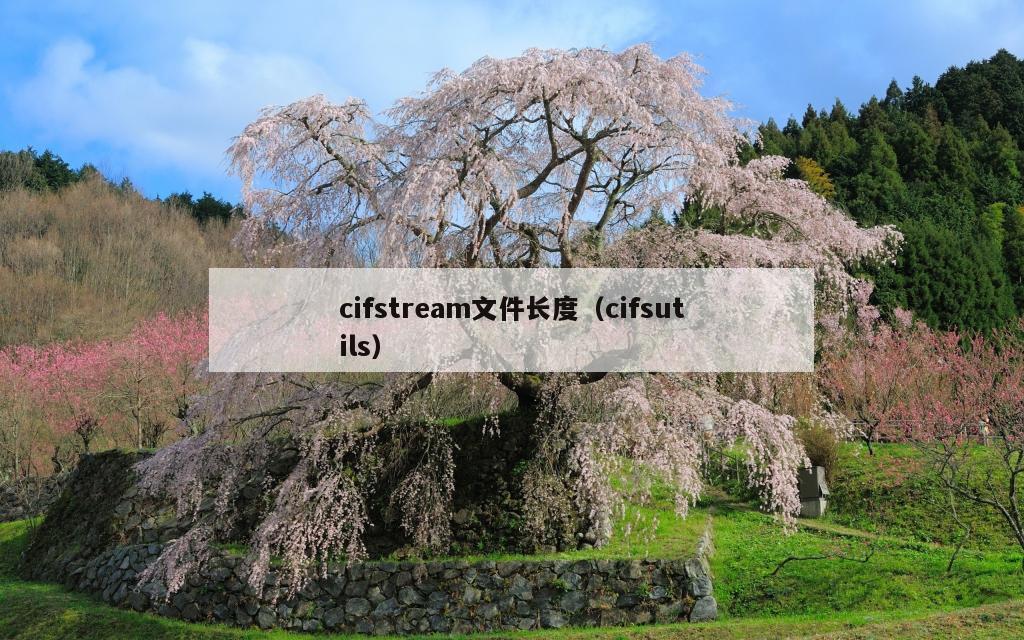 cifstream文件长度（cifsutils）