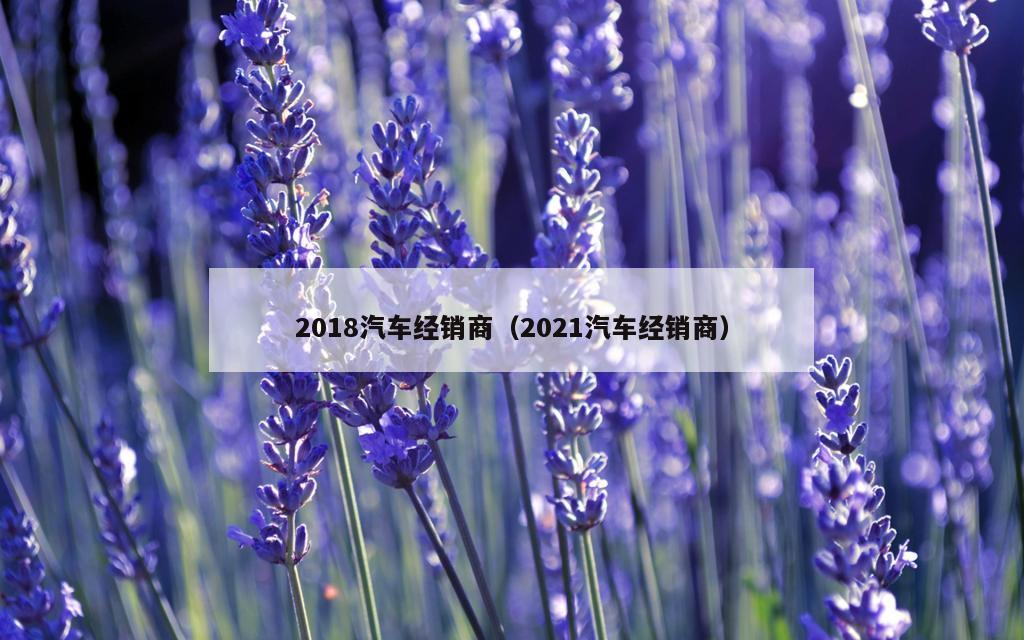 2018汽车经销商（2021汽车经销商）