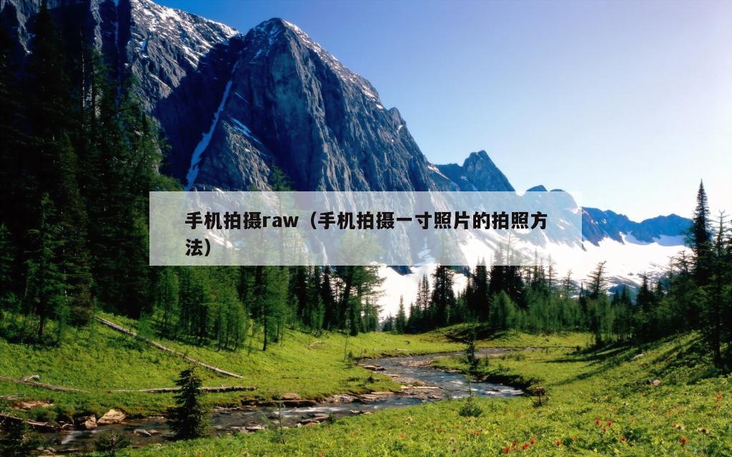 手机拍摄raw（手机拍摄一寸照片的拍照方法）