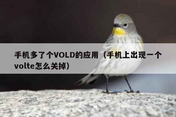 手机多了个VOLD的应用（手机上出现一个volte怎么关掉）