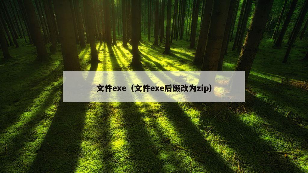 文件exe（文件exe后缀改为zip）