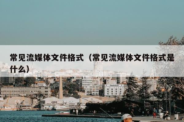 常见流媒体文件格式（常见流媒体文件格式是什么）