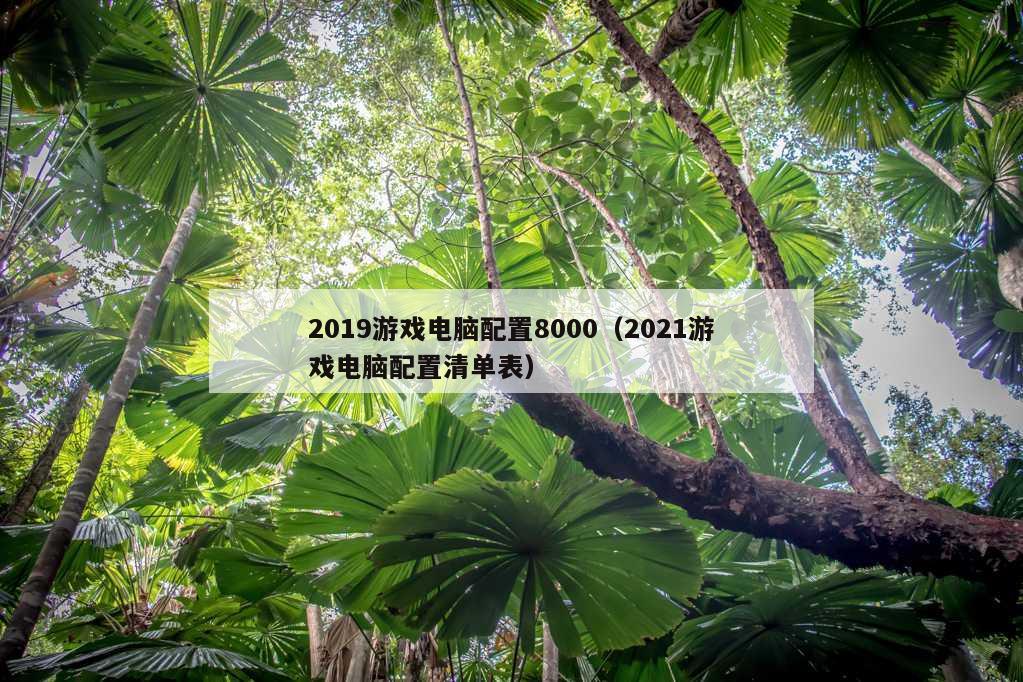 2019游戏电脑配置8000（2021游戏电脑配置清单表）