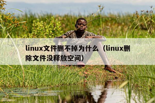 linux文件删不掉为什么（linux删除文件没释放空间）