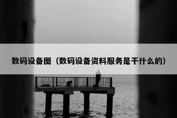 数码设备图（数码设备资料服务是干什么的）