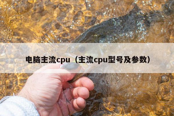 电脑主流cpu（主流cpu型号及参数）