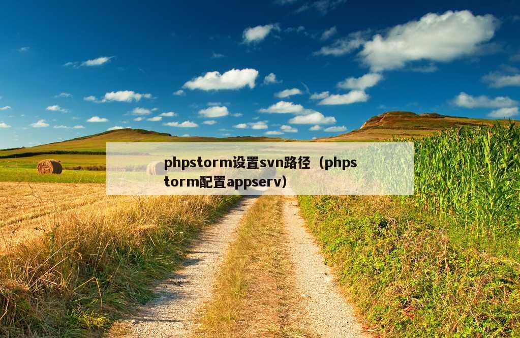 phpstorm设置svn路径（phpstorm配置appserv）