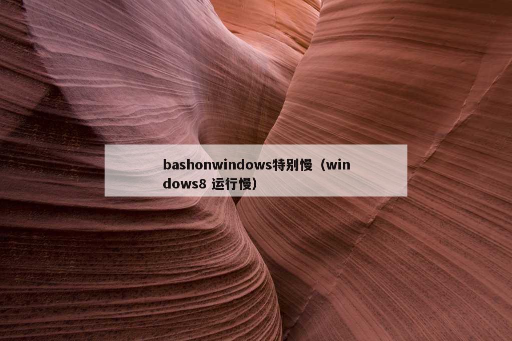 bashonwindows特别慢（windows8 运行慢）