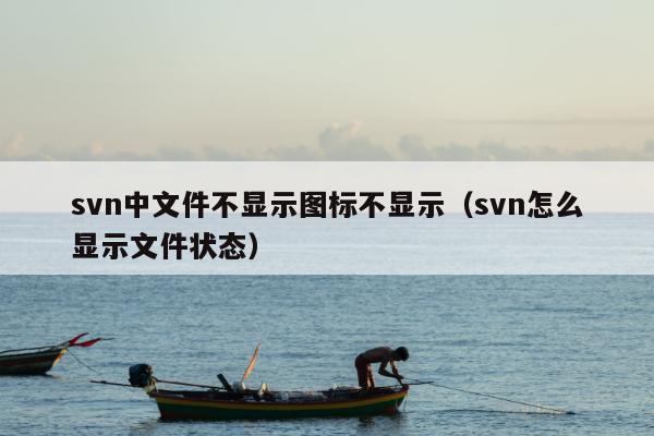 svn中文件不显示图标不显示（svn怎么显示文件状态）