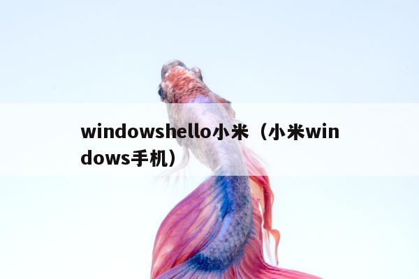 windowshello小米（小米windows手机）