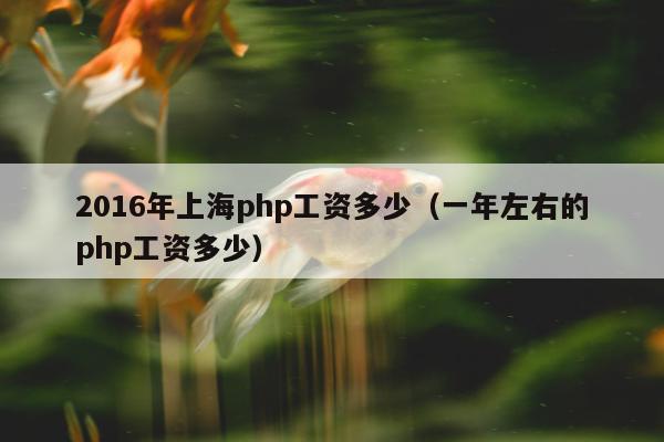 2016年上海php工资多少（一年左右的php工资多少）