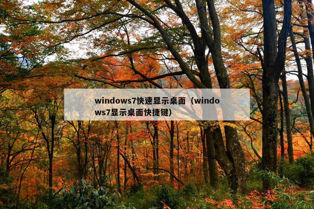 windows7快速显示桌面（windows7显示桌面快捷键）