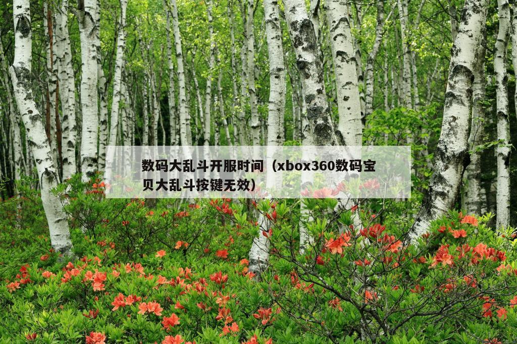 数码大乱斗开服时间（xbox360数码宝贝大乱斗按键无效）